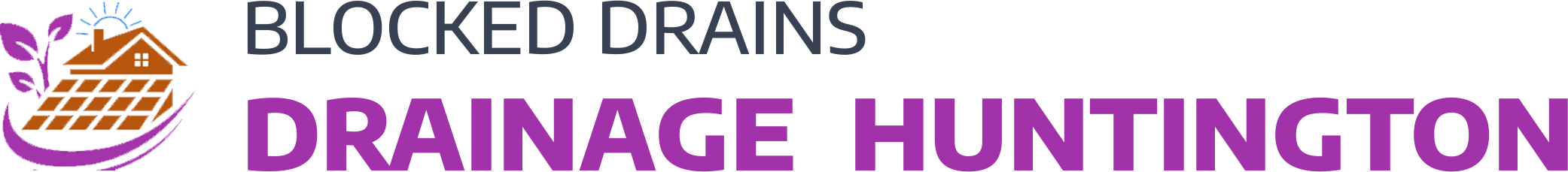 website logo